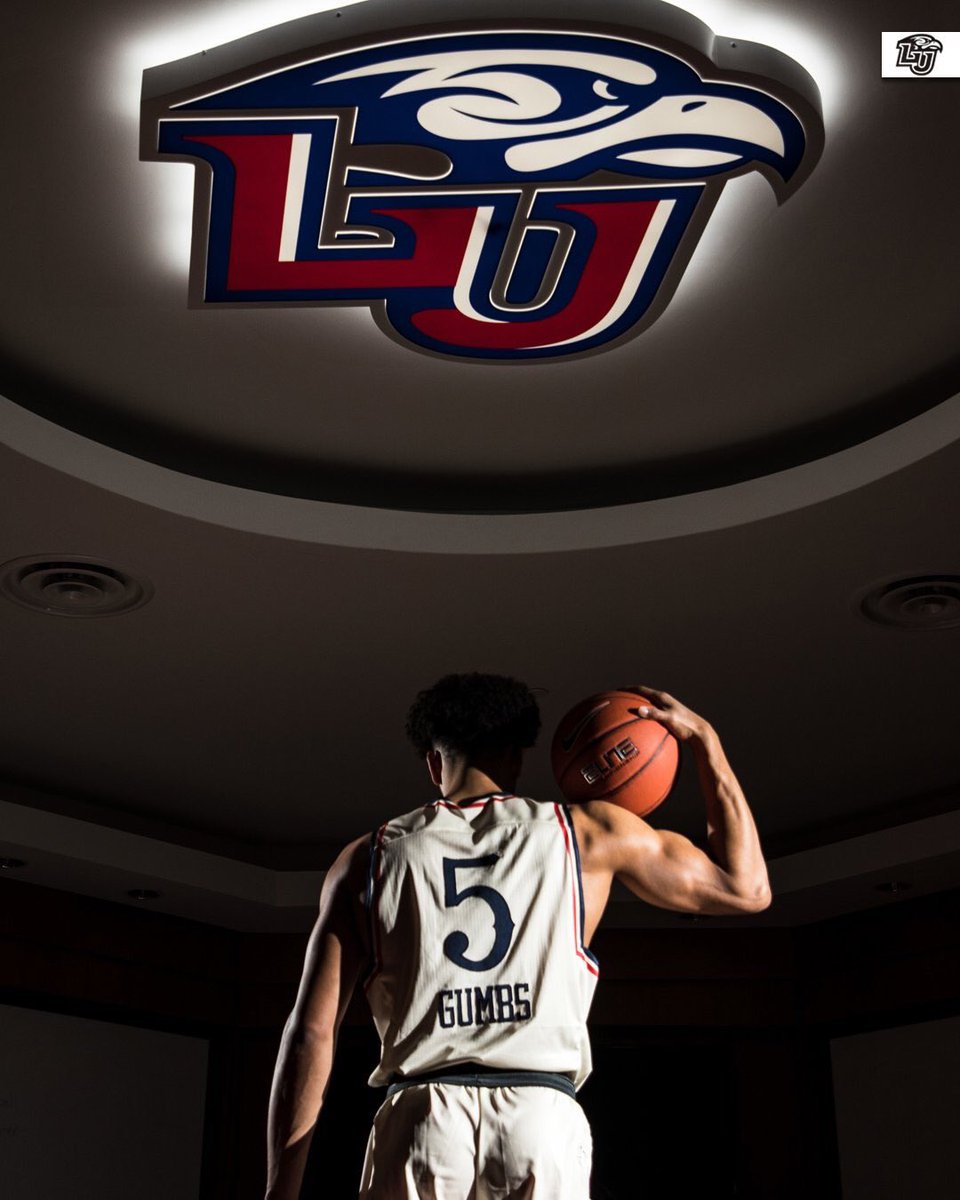 liberty university basketball jersey