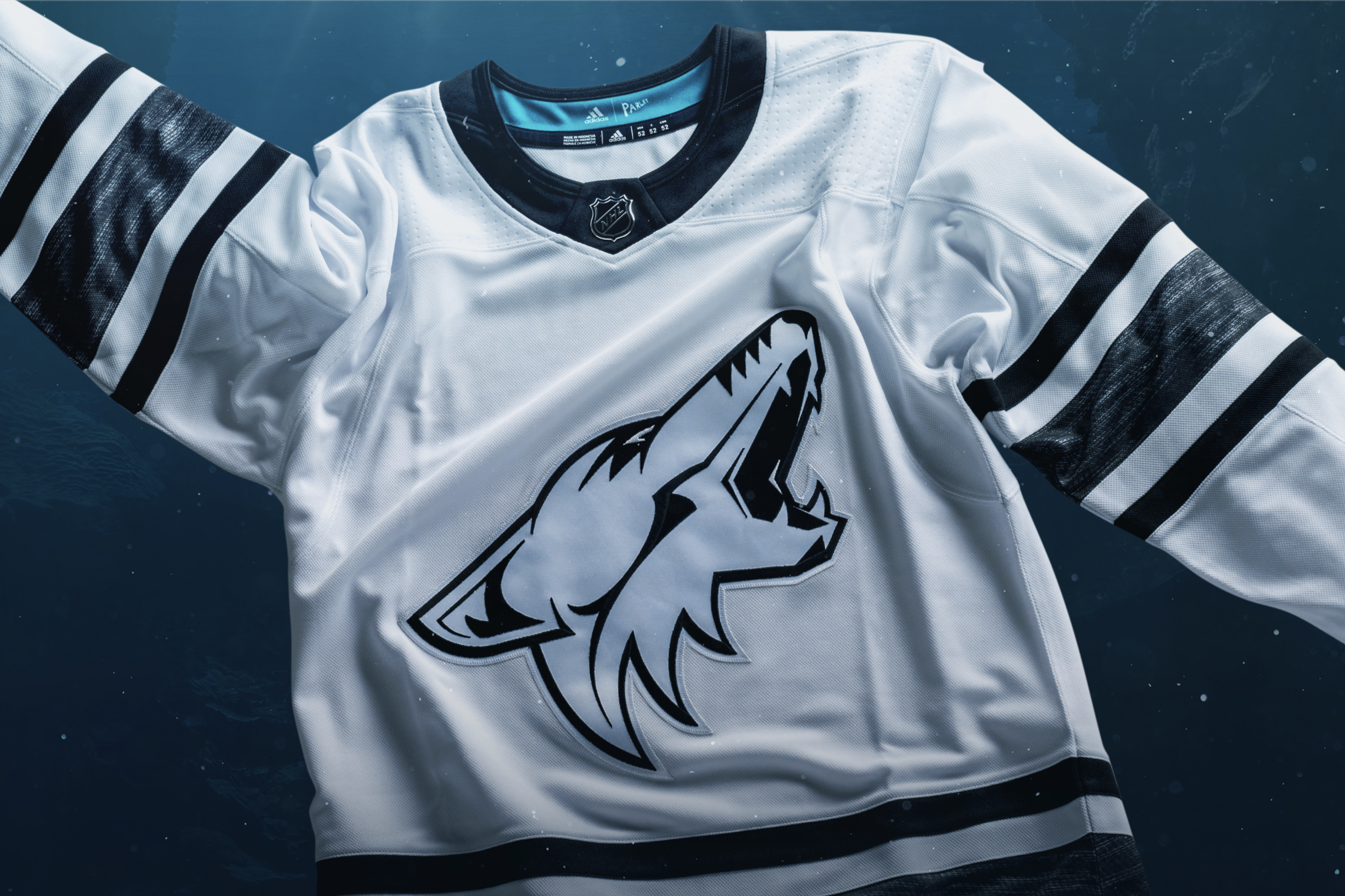 Nhl All Star 2019 Jerseys Nhl All Star Merchandise 2019