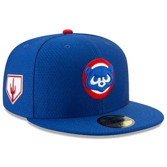 2019 spring training hats