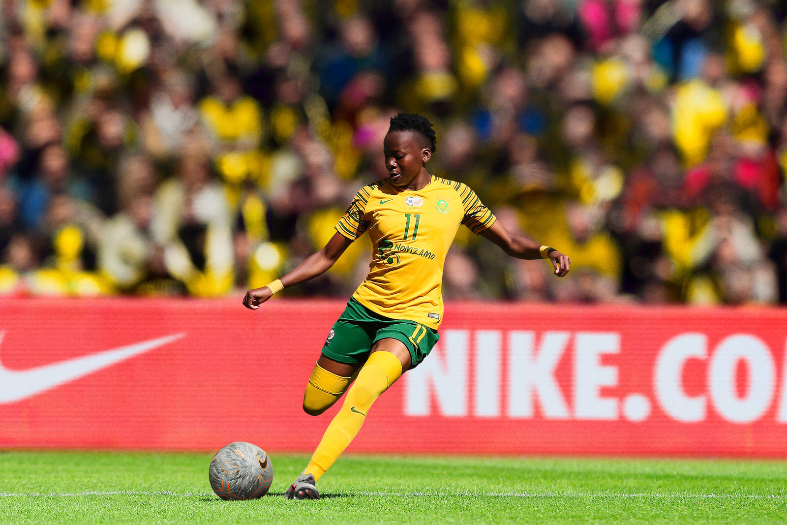 south-africa-national-team-kit-2019-performance-2_85966.jpg