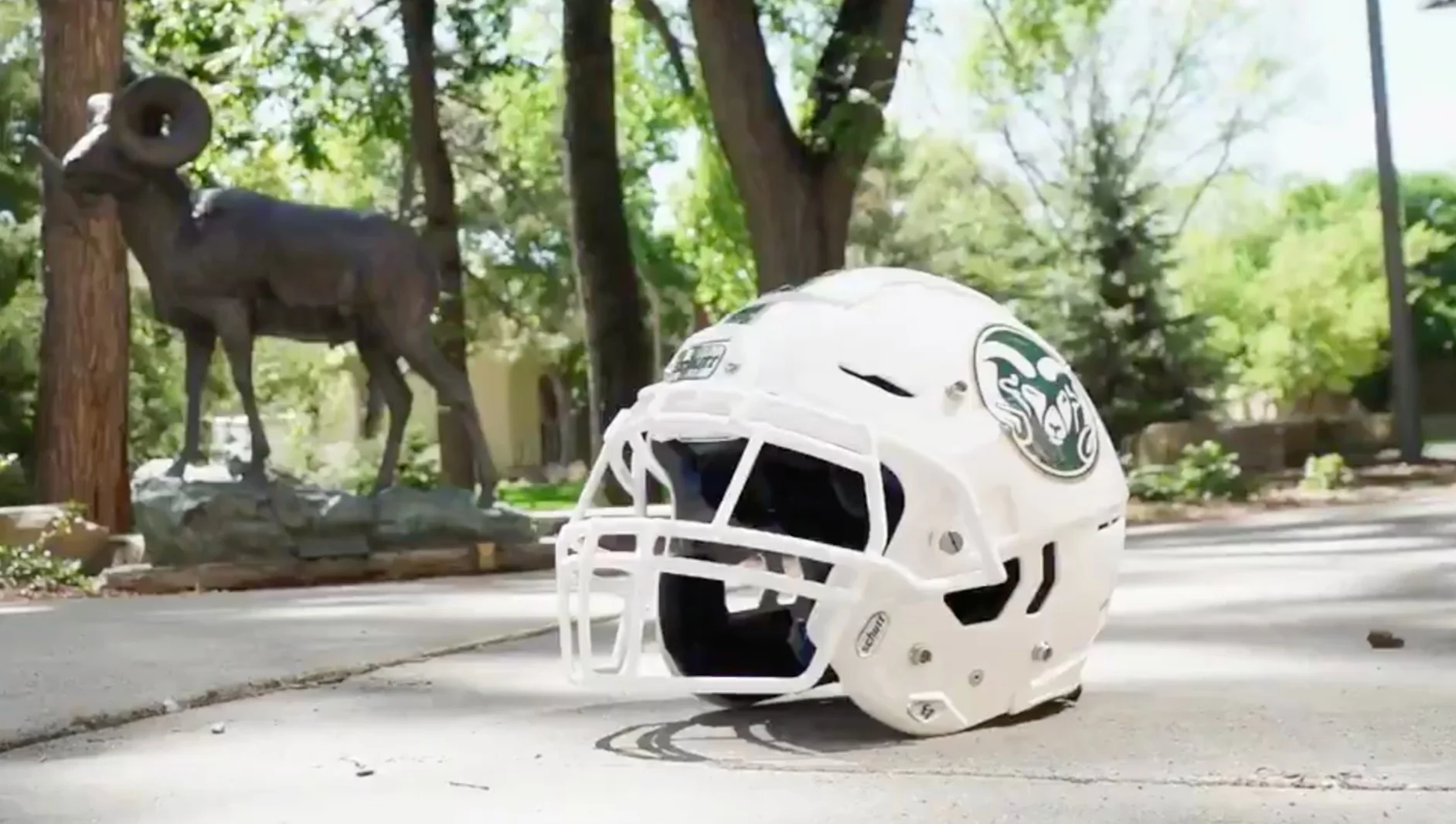 Colorado State Homecoming Helmet