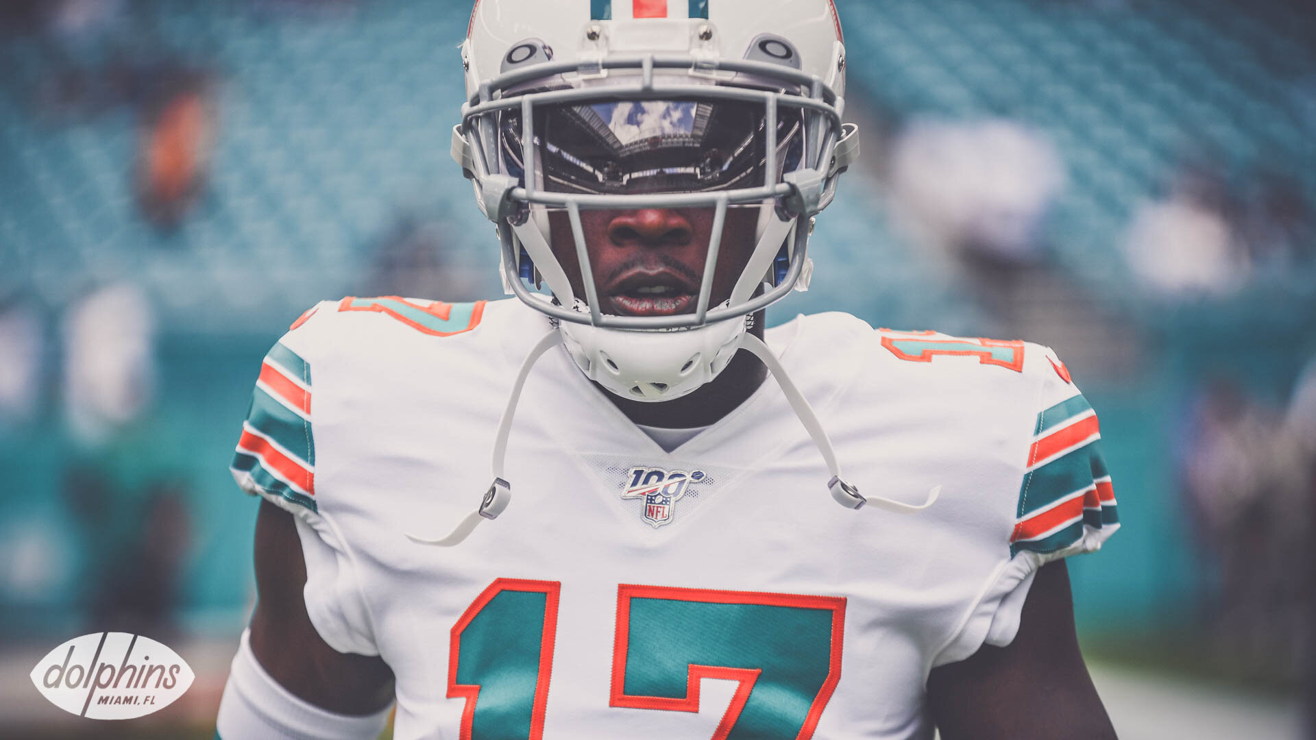 dolphins throwback