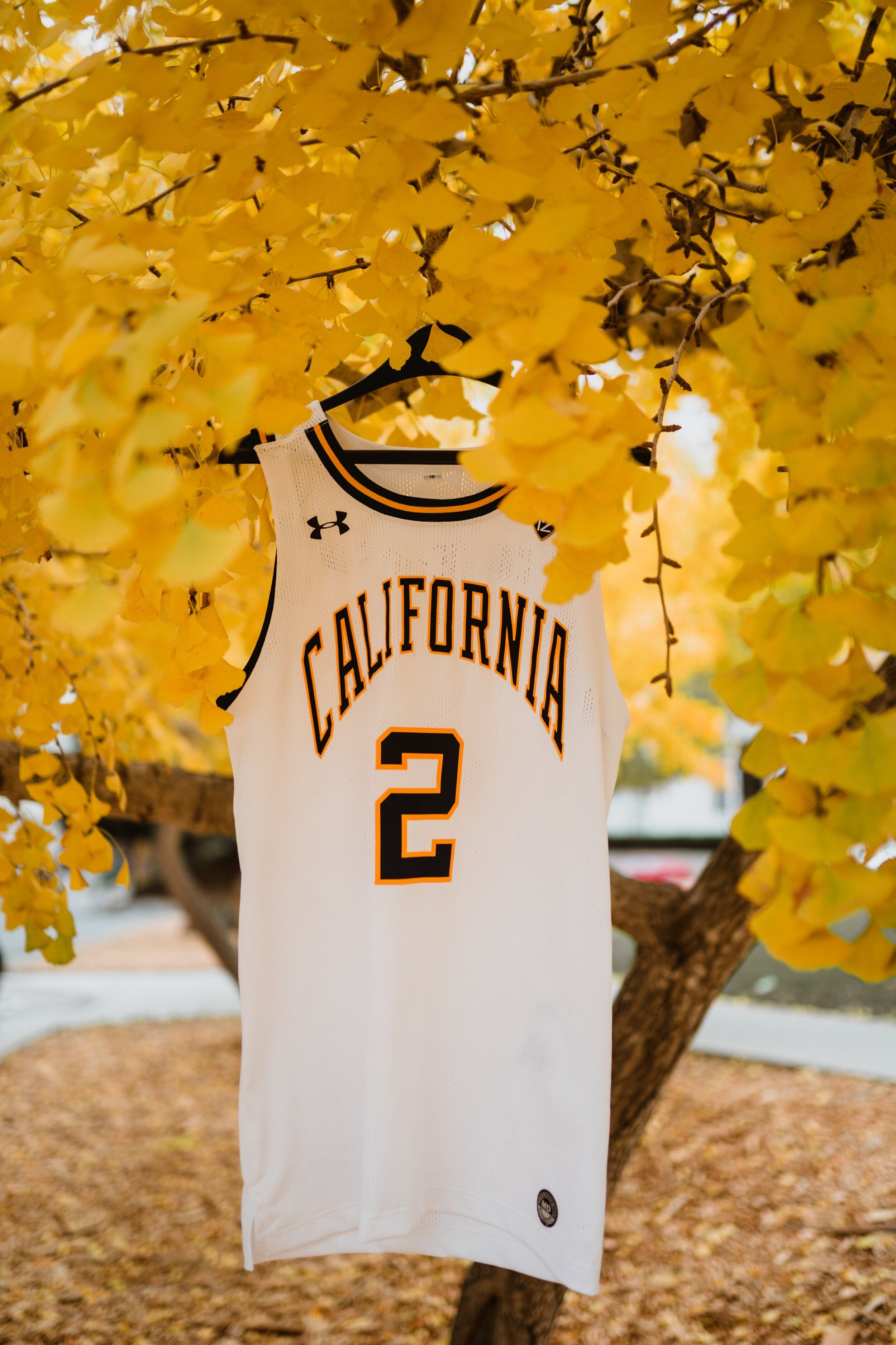 Cal Basketball Throwback Uniform — UNISWAG