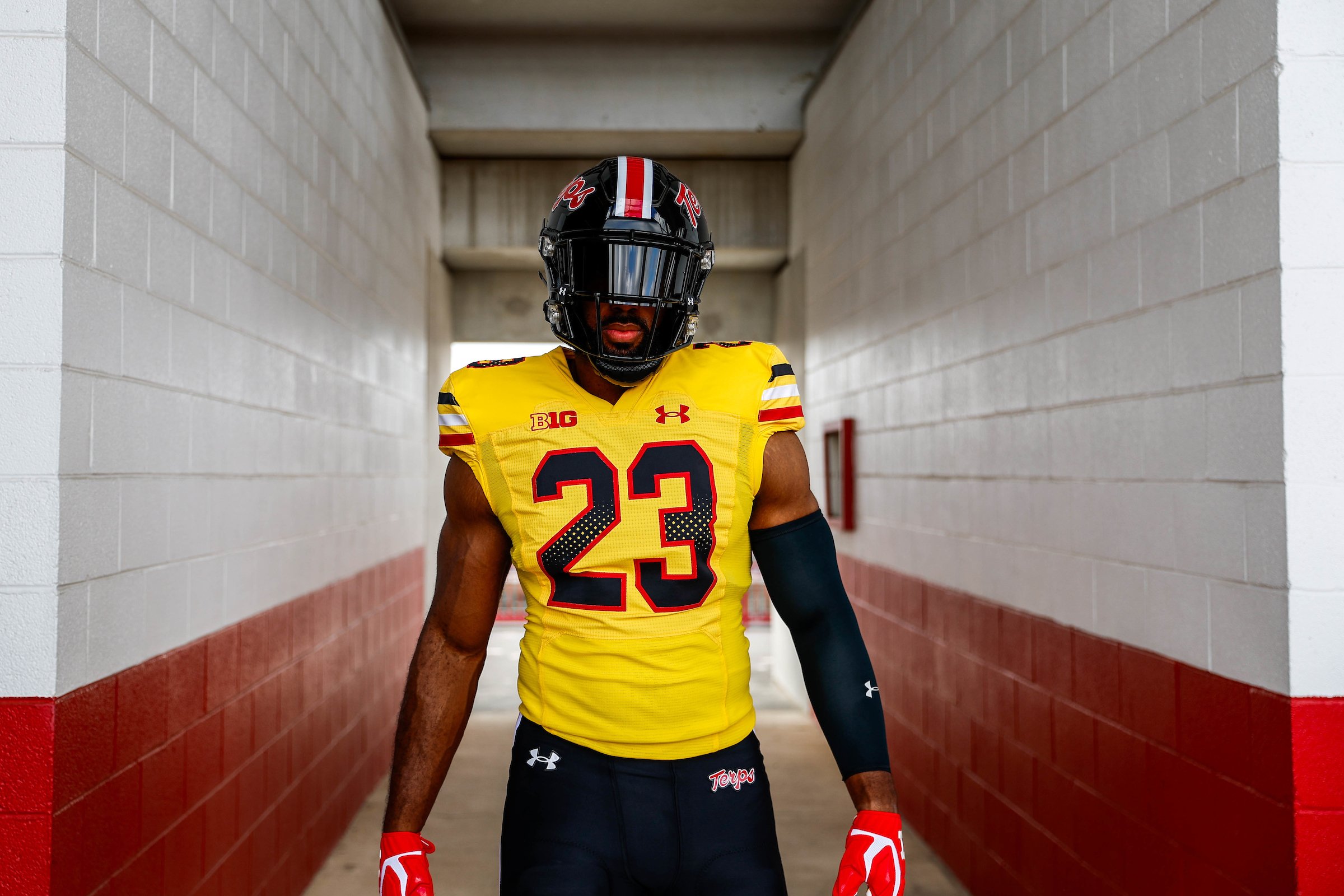 Maryland Gold Script Terms Jersey