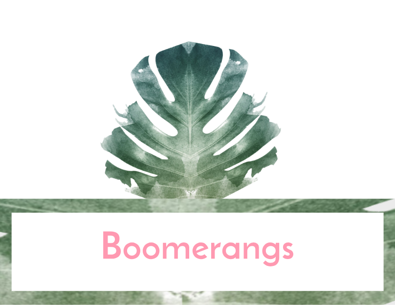 BOOMERANGS.png