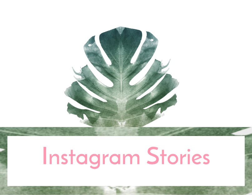 Instagram stories.png