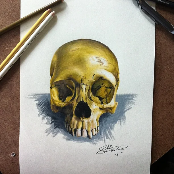8 - Skull Drawing.jpg