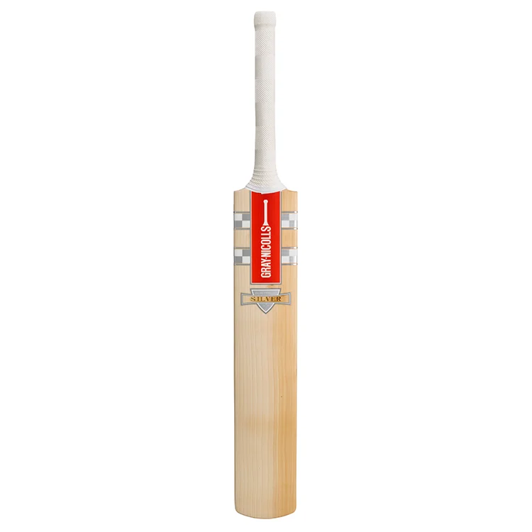 Silver Bat .jpg