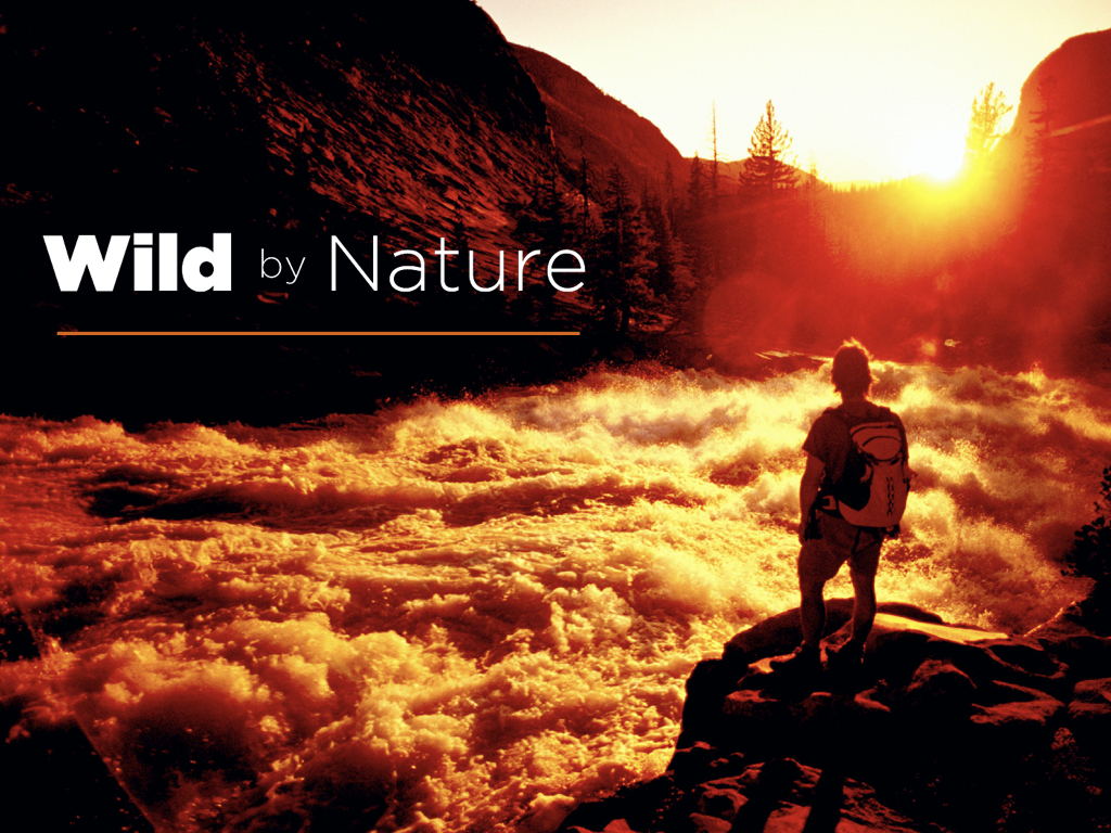 Wild by Nature Keynote Slide.001.jpeg