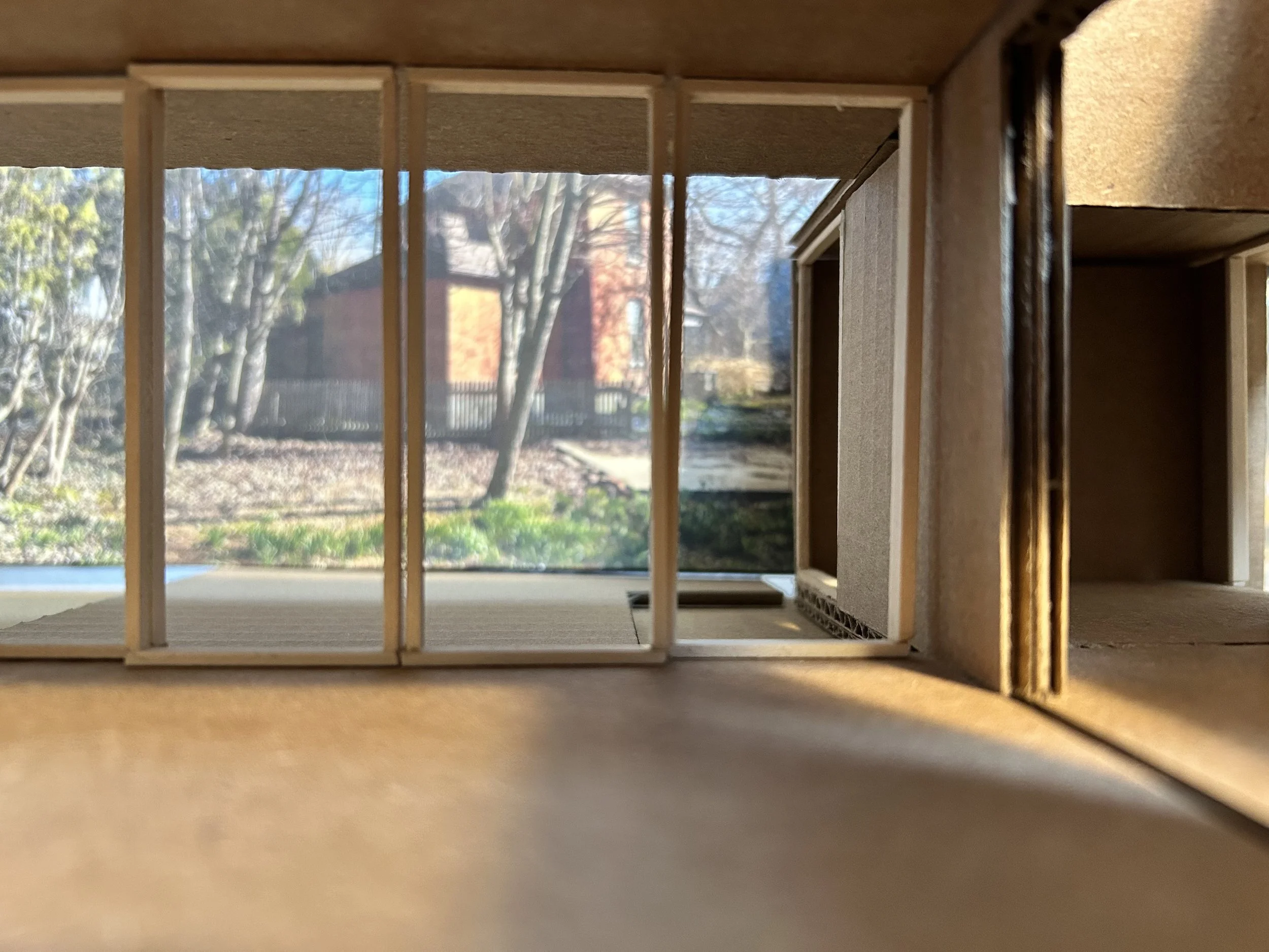 rear landscape from dining1.jpeg