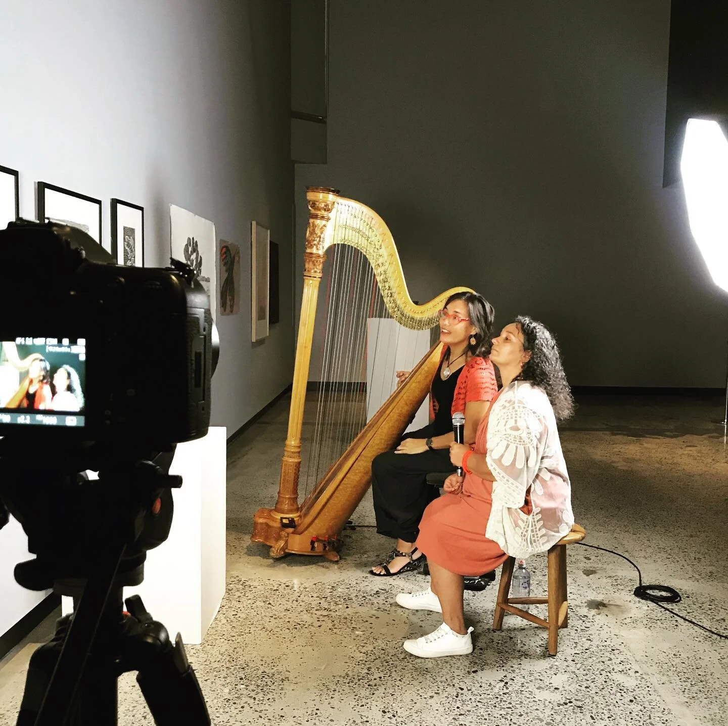 It&rsquo;s a day of new projects! A new Instagram page for Shiny Shiny Productions. A new streaming project - &lsquo;Northern Intent&rsquo;.
Today&rsquo;s live stream session showcased the amazing music of Resonance artist @natalia.mann and @merindi_