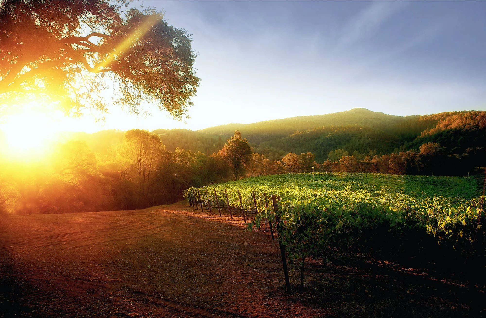 Pruett-Sunrise.jpg