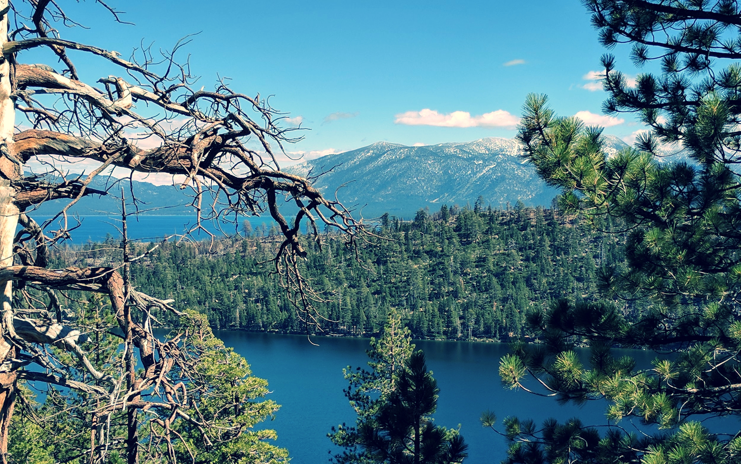 south tahoe.jpg