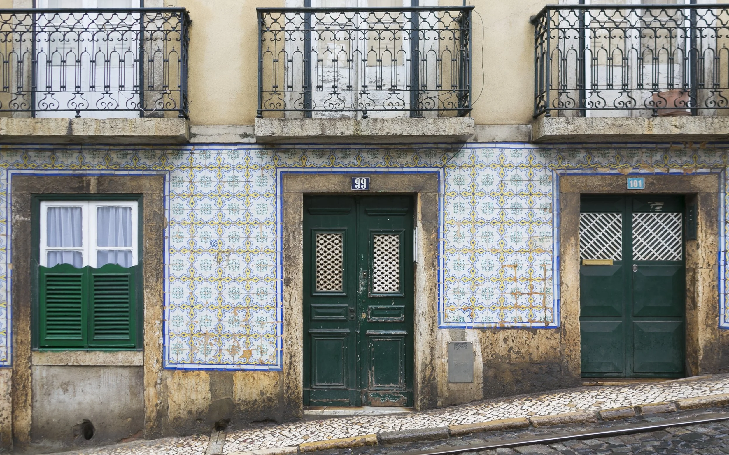 blueherons-3 copy.jpg