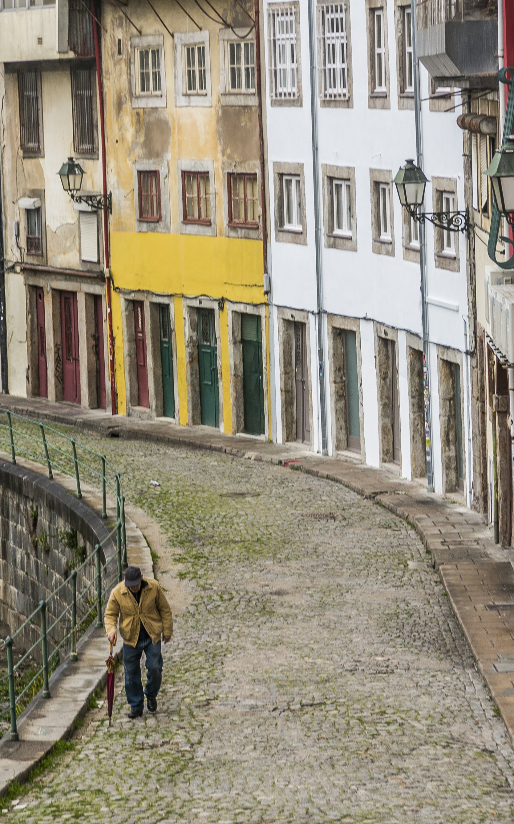 blueherons-4 copy.jpg