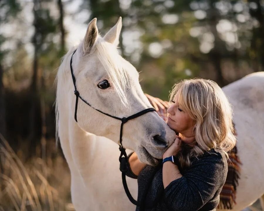 Reminiscing on this magical session with Classy and his owner @flyingcowgirl 

This was my first time taking portraits of a horse and I was incredibly nervous to capture all of Classy's charming personality and handsome looks. Studying up on horse po