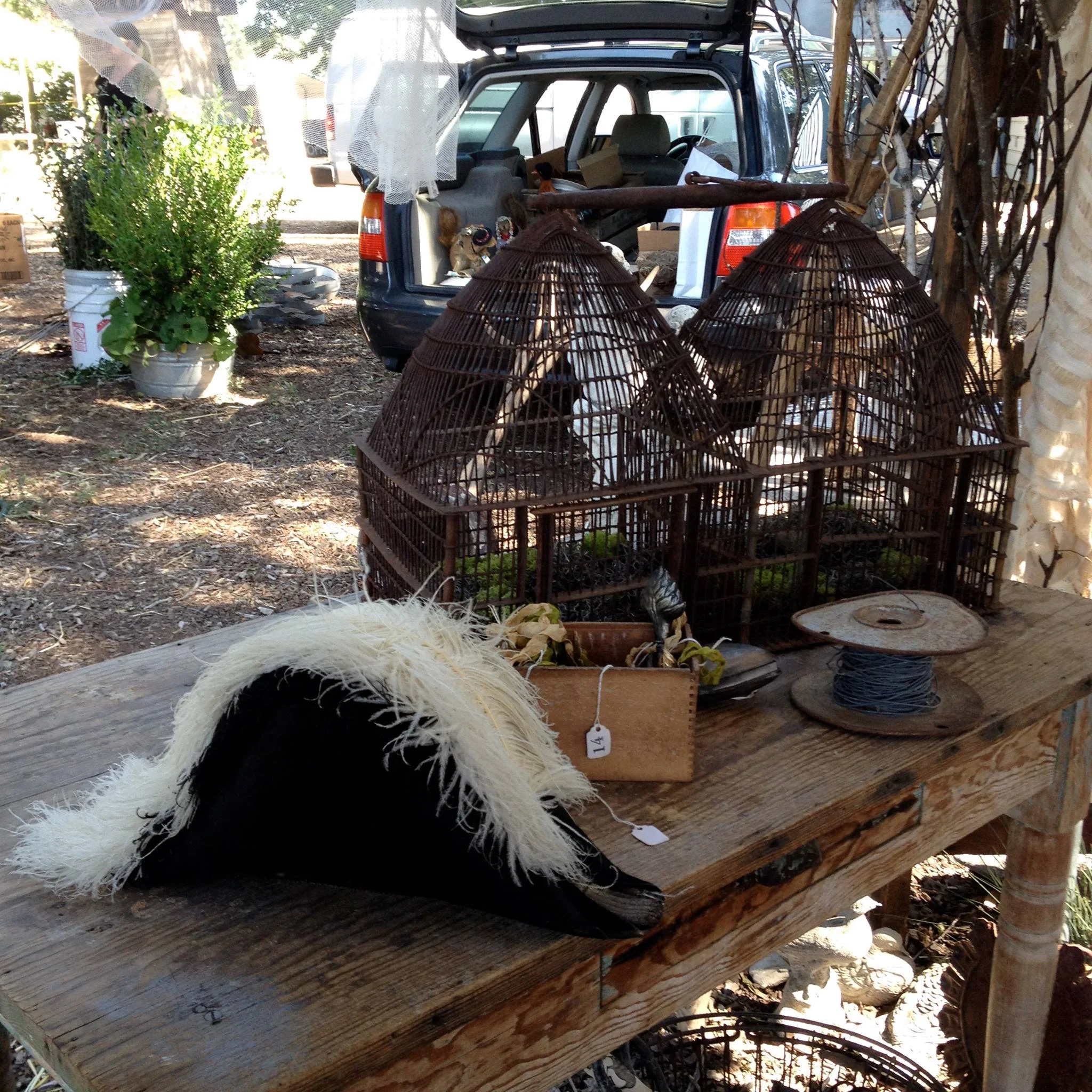 Antique Market photo.jpg