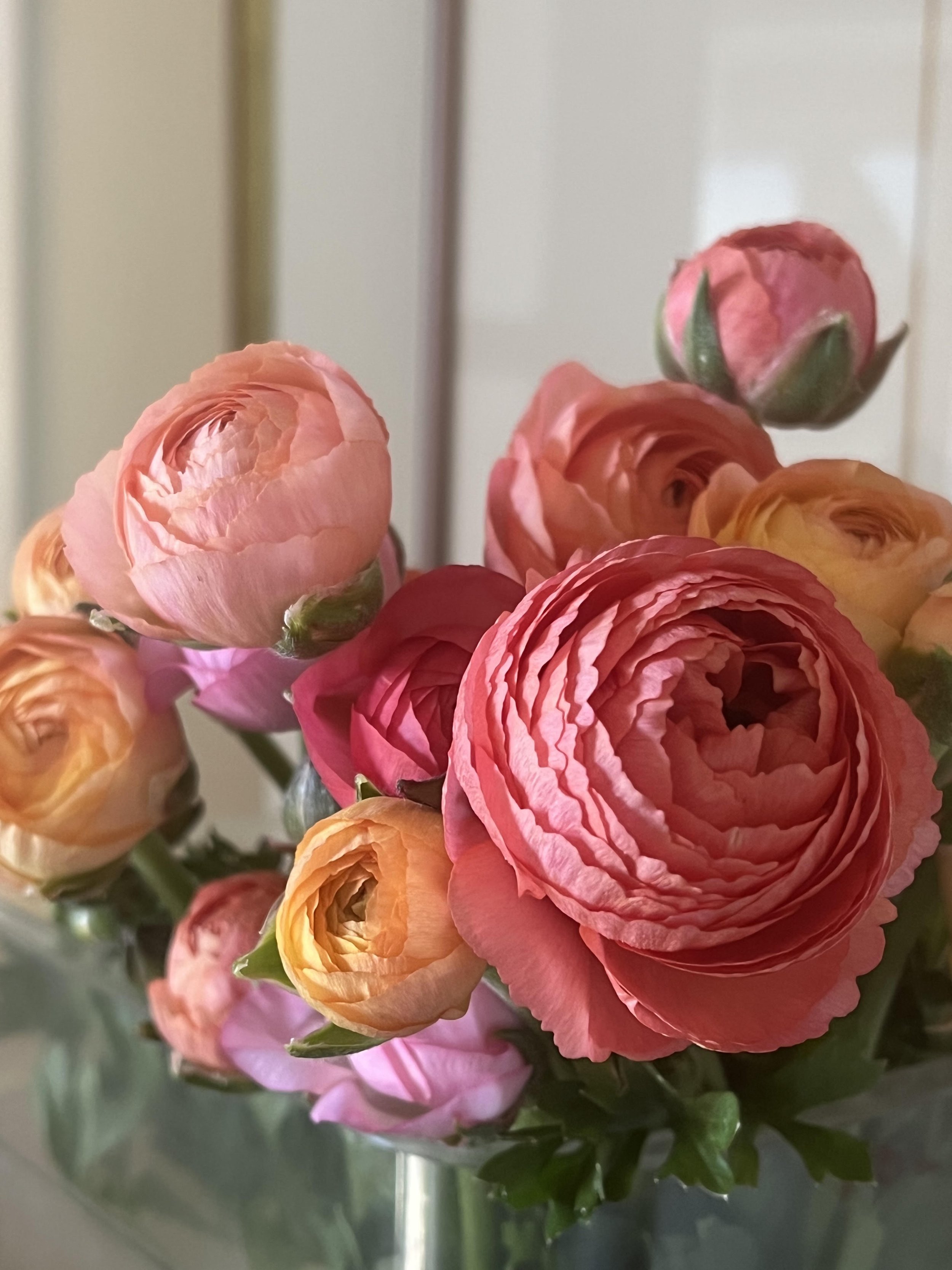 Order Online — Soul Food Farm