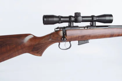 rimfire.jpg