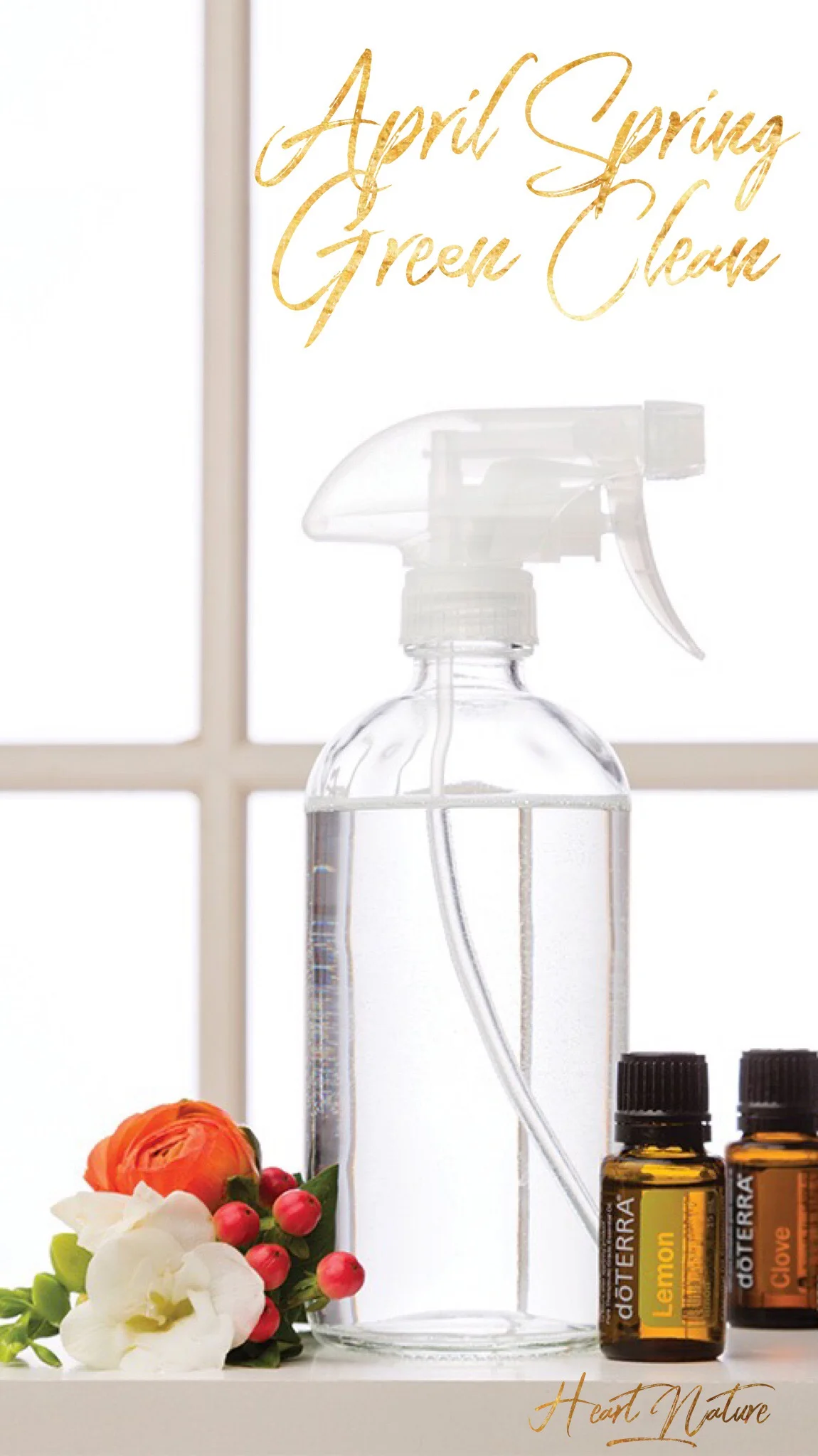  Healthy Habits—Lessons from our Family...Why GREEN Spring Cleaning!
