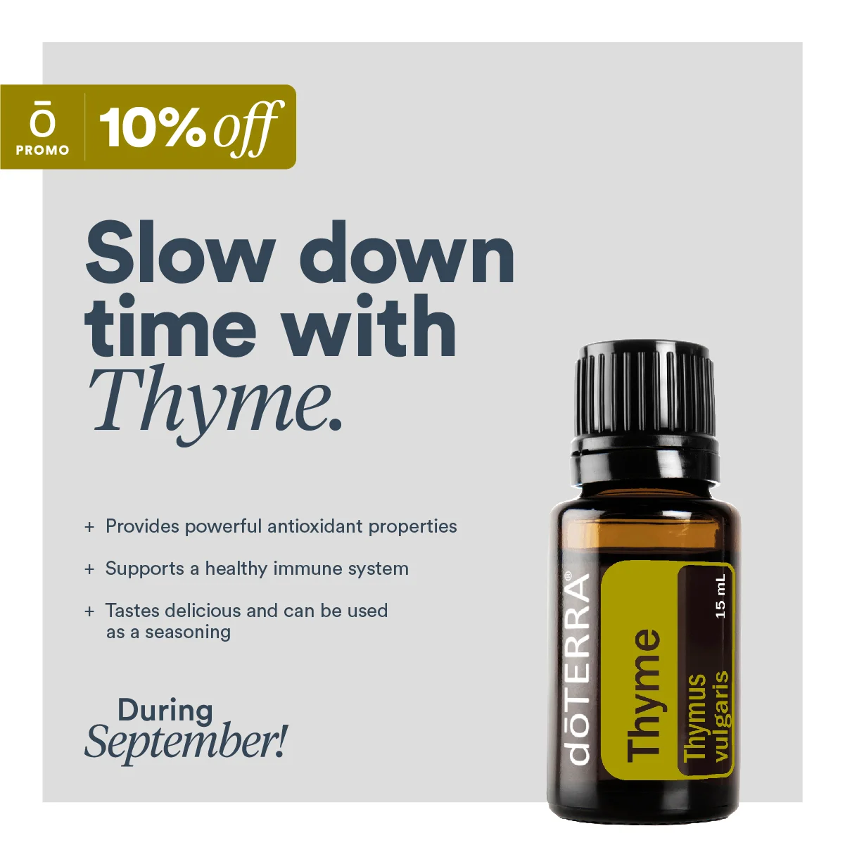 Thyme Promo Ed Assets v2.0_3.jpg