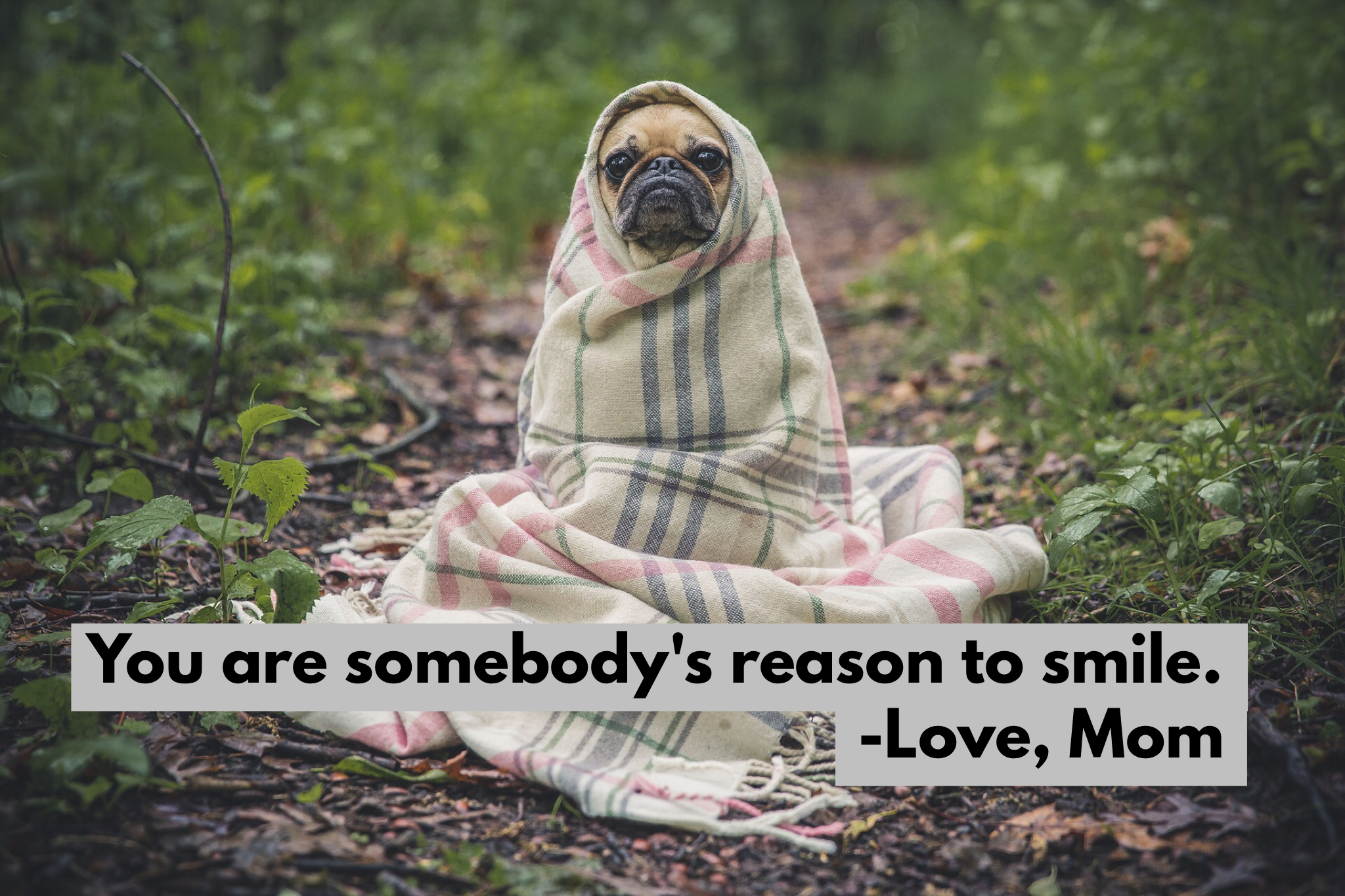 The Break-Up--Creating Connection with Our Teens