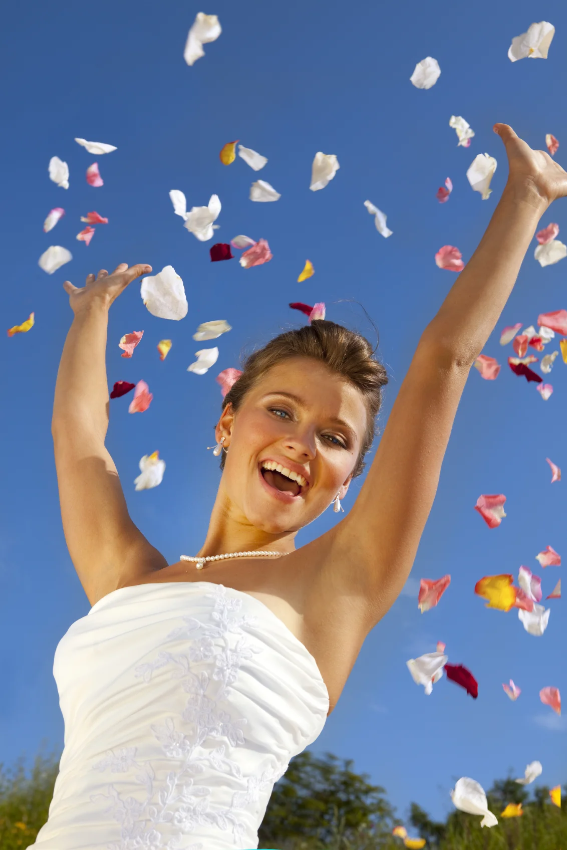 Wedding Event Planner Adelaide