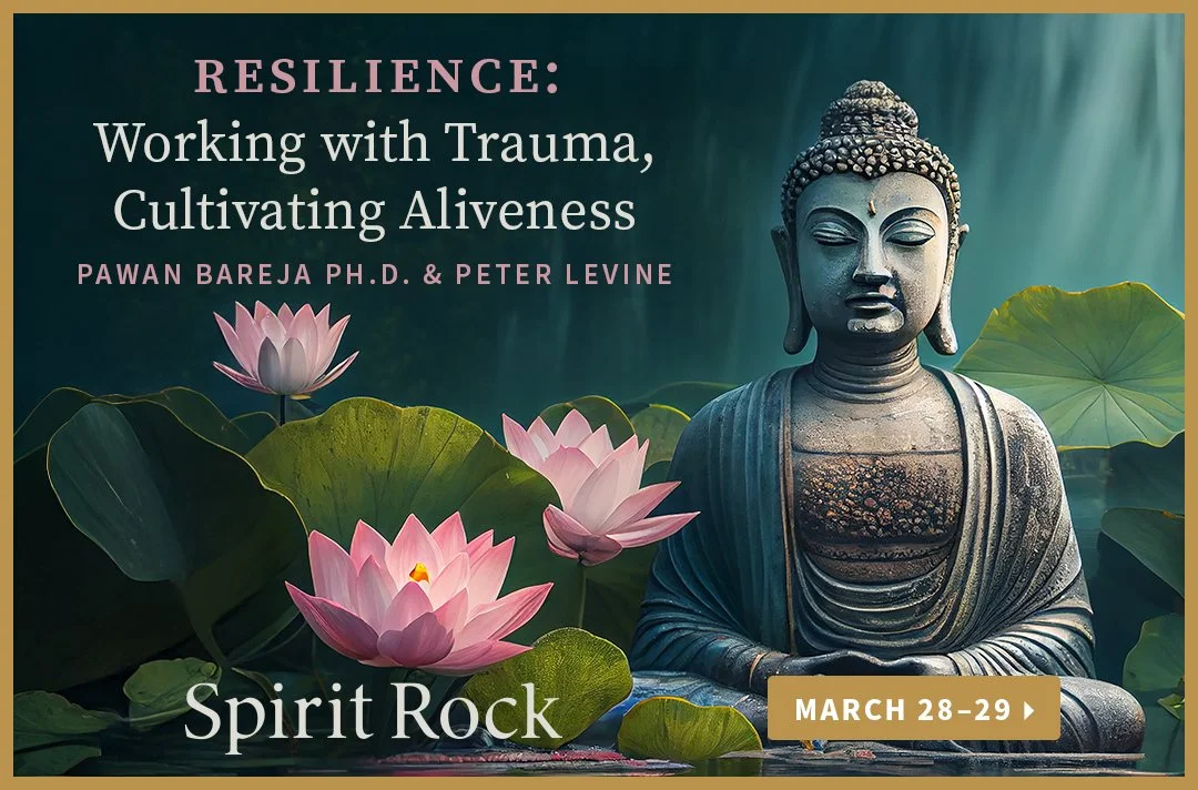 Online - Ergos Institute &amp; Spirit Rock: Resilience, Working with Trauma, Cultivating Aliveness w/ Pawan Bareja, PhD &amp; Dr Levine