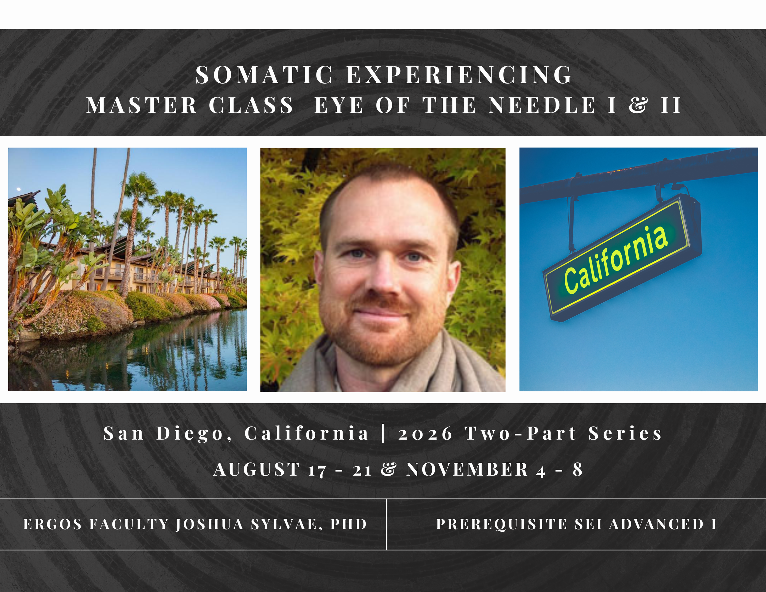 Ergos Presents: Somatic Experiencing Master Class Eye of the Needle I &amp; II w/ Joshua Sylvae, PhD