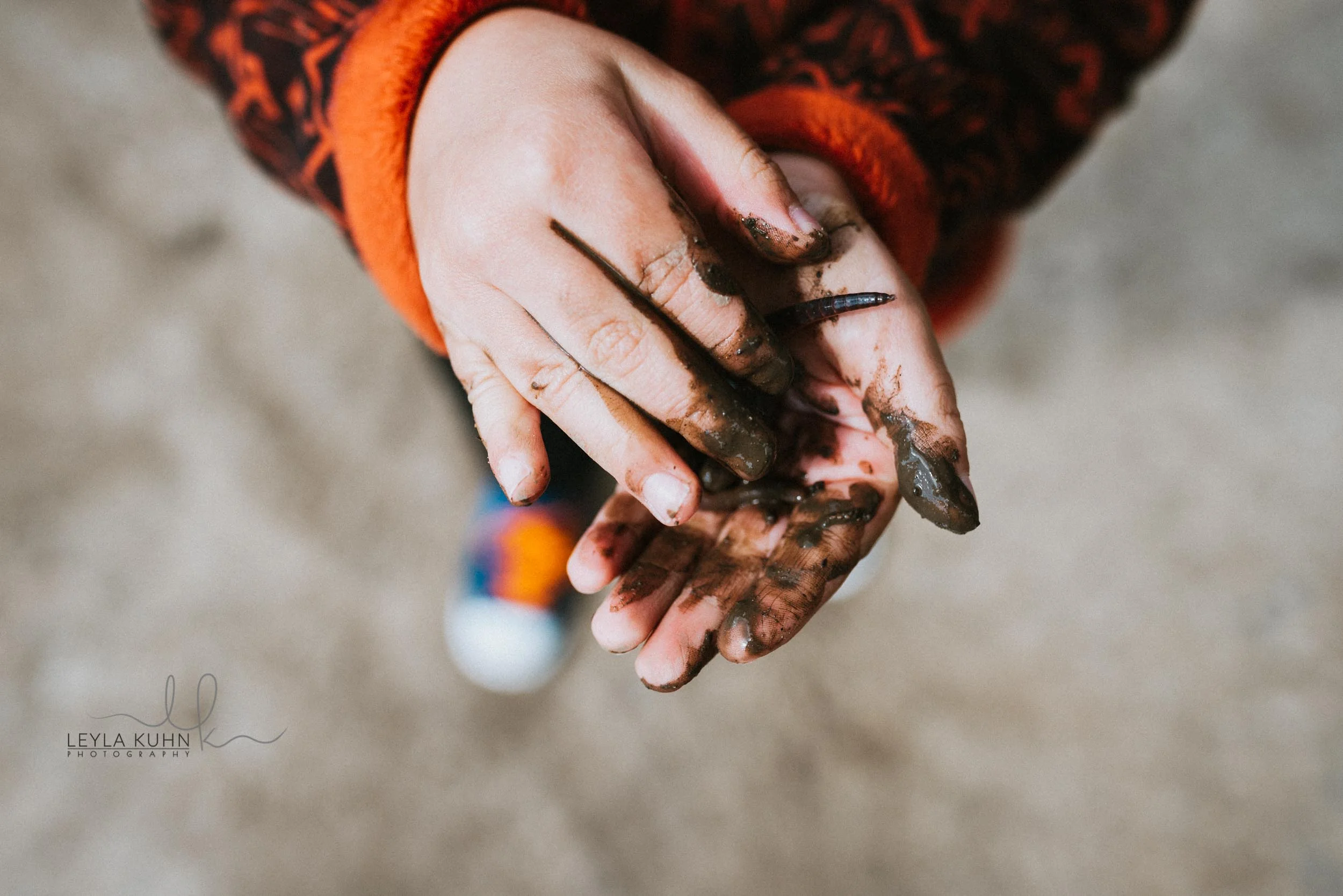 worms (1 of 1).jpg