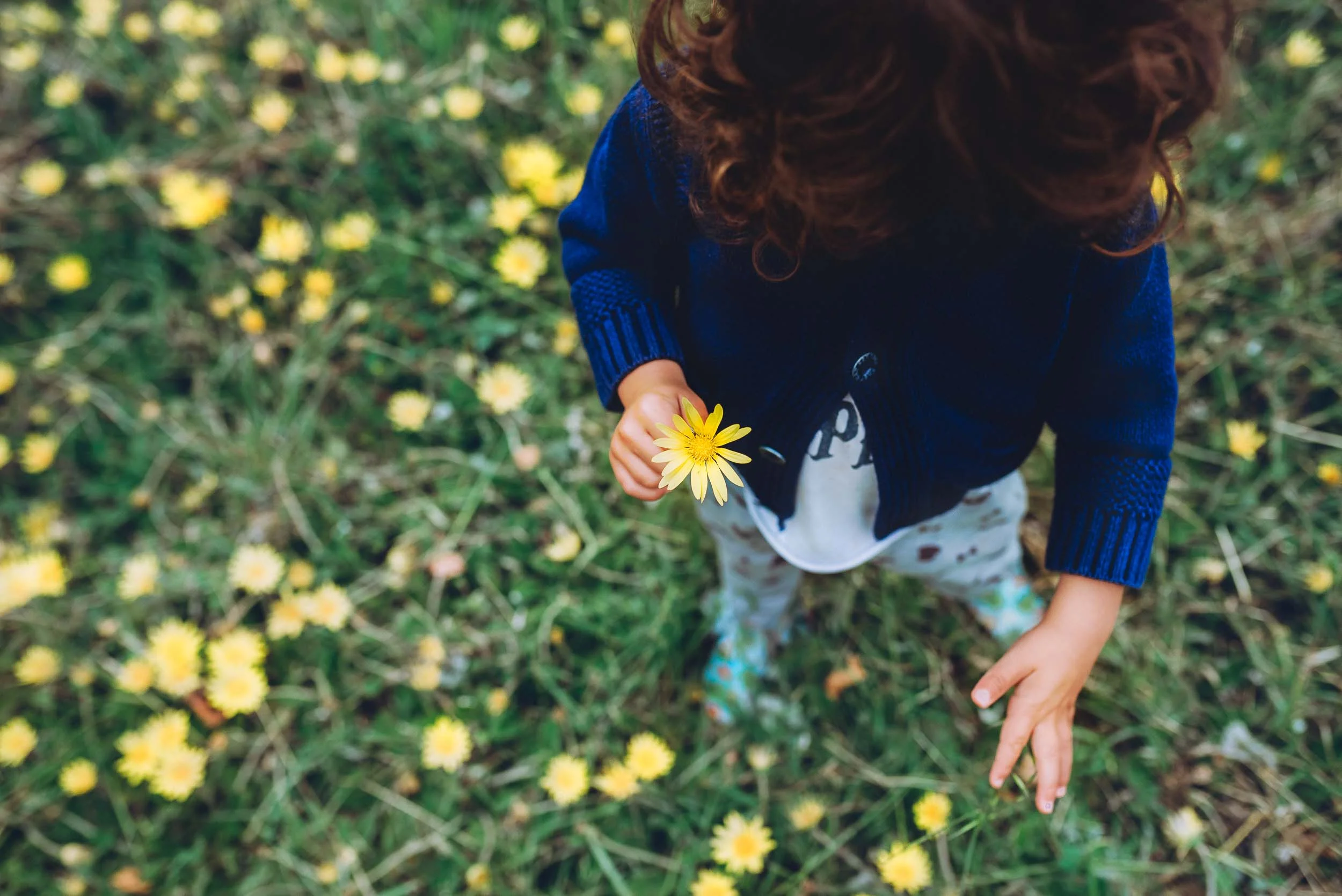 yellow (1 of 1).jpg