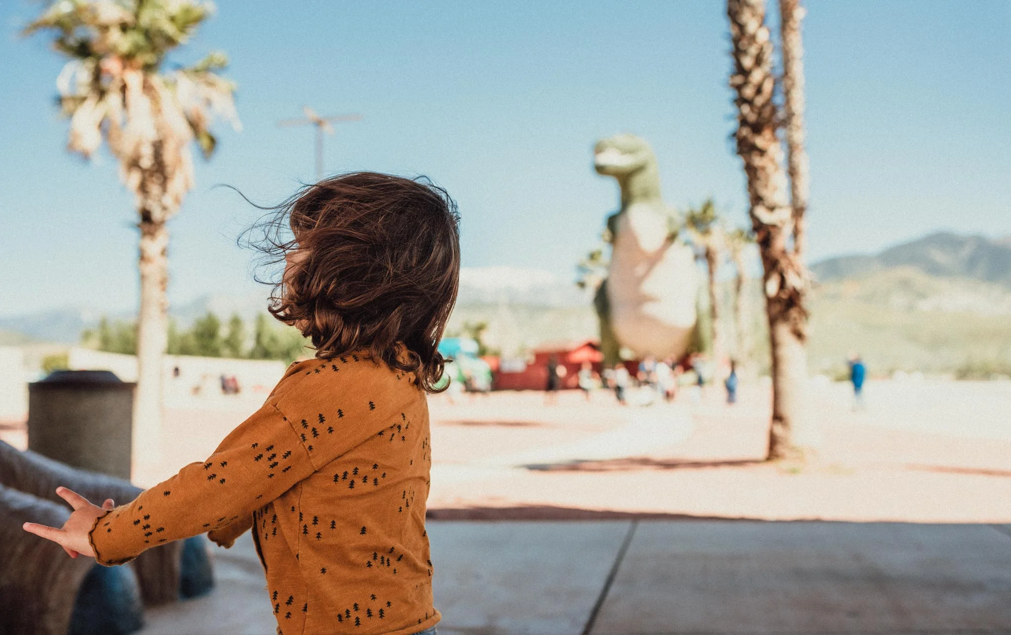 Joshua Tree 2019 (3 of 22).jpg