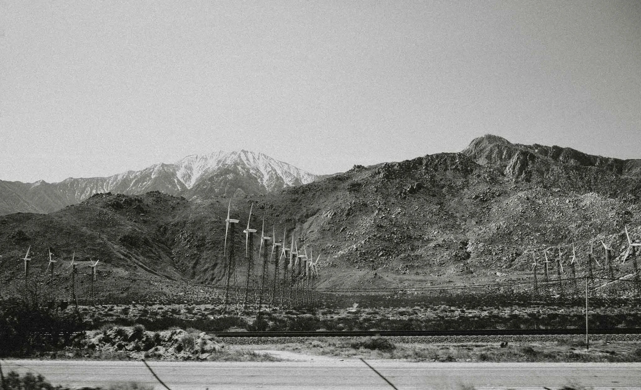 Joshua Tree 2019 (15 of 22).jpg