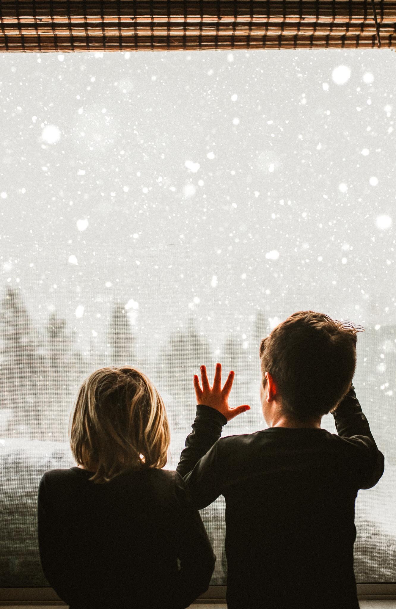 snow watching (1 of 1).jpg