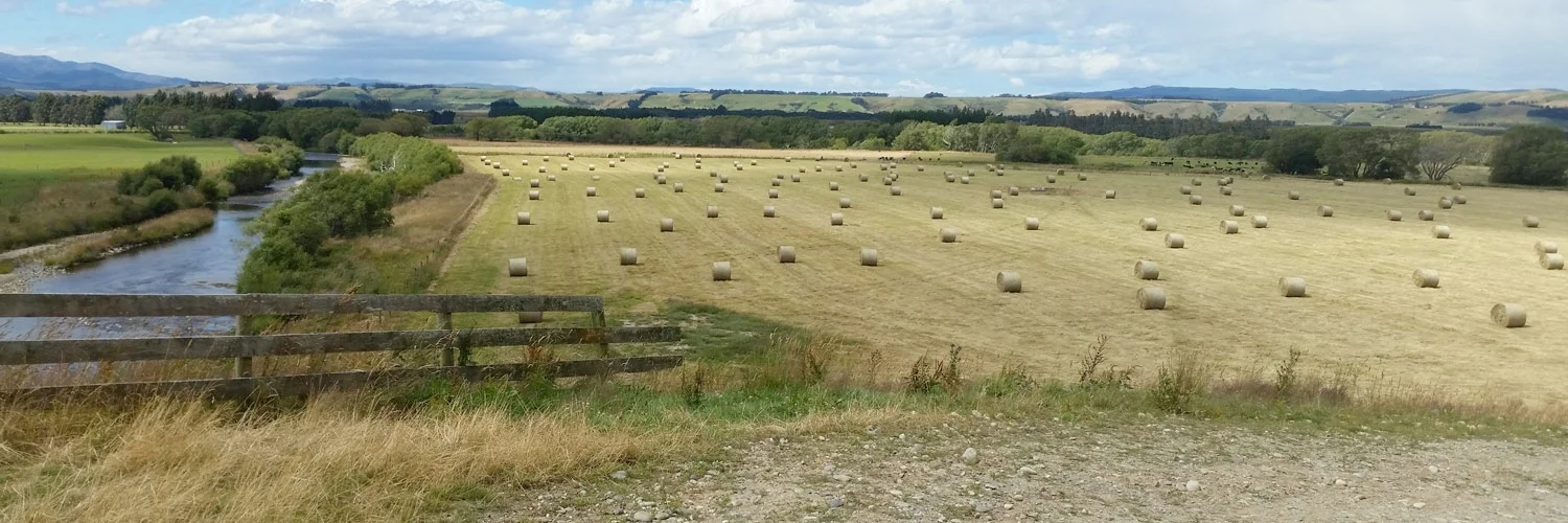 Hay-1500x500.jpg