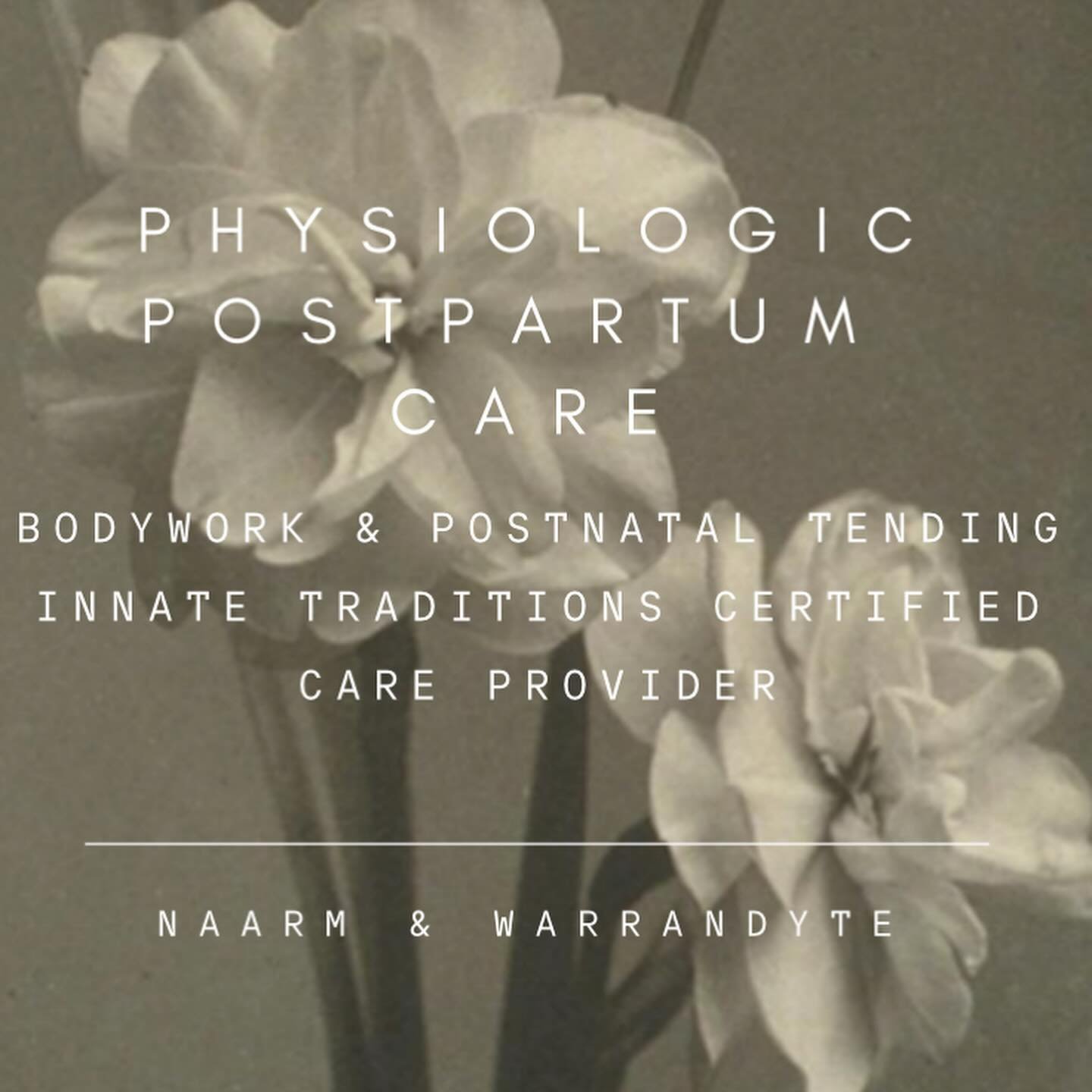 Physiological Postpartum Care is something I&rsquo;m deeply passionate about. The privilege of getting to tend to families &amp; birthing bodies in the often very tender, vulnerable &amp; potent window of  the early postpartum is something I feel so 