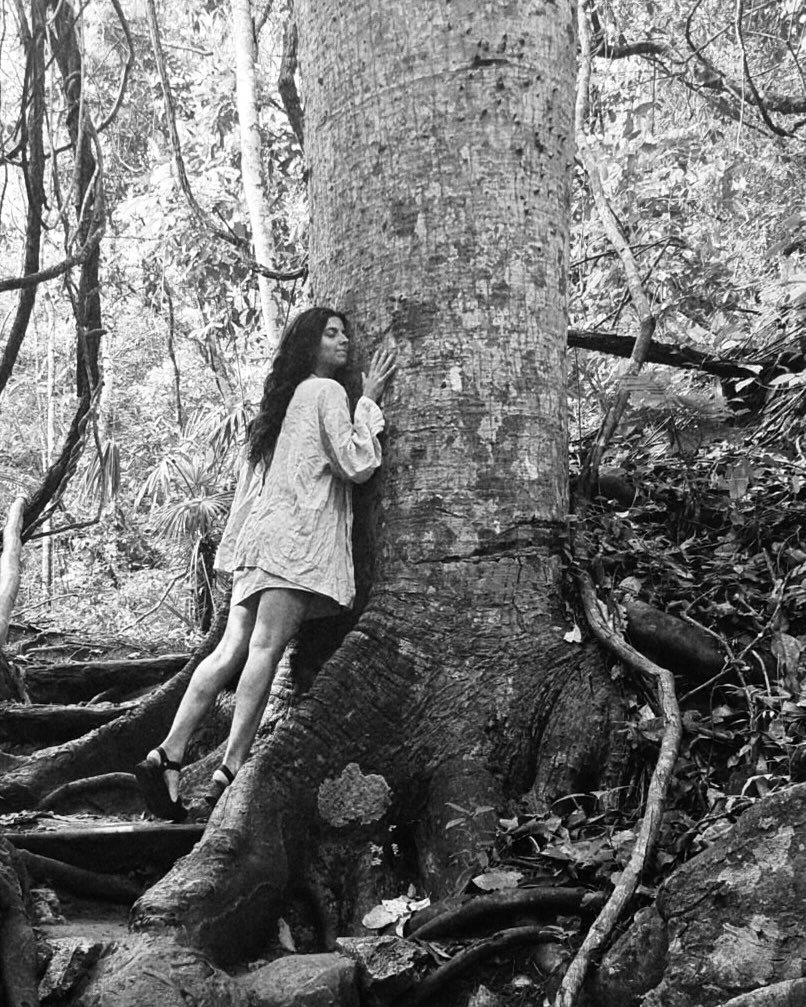pochote dreaming | ceiba as witness