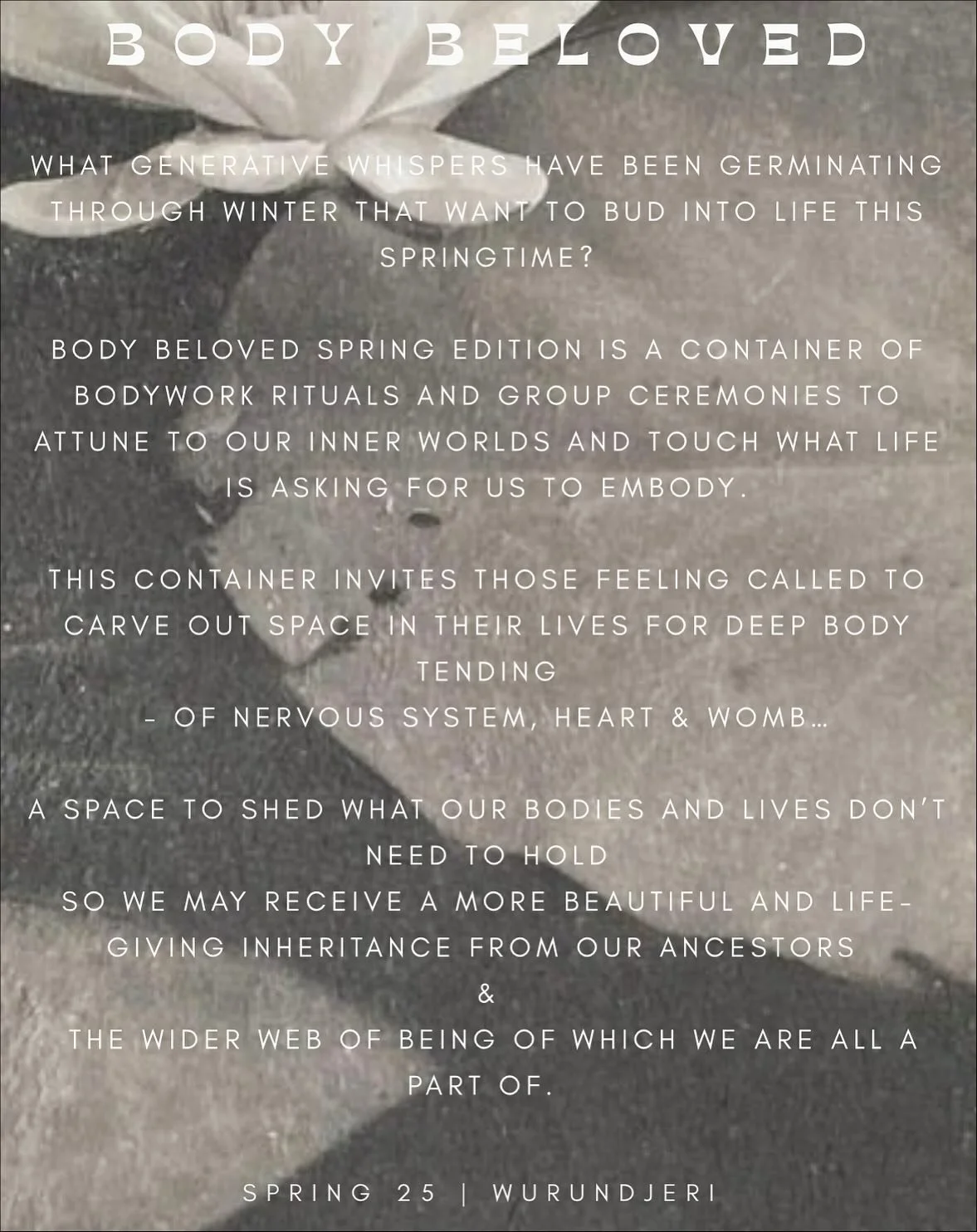 Hola Beloveds of Melbourne 

Seven days remain of the earlybird &amp; 7 places are left for this next iteration of BB 

We begin Oct 11th &amp; close Nov 15th 

🤍