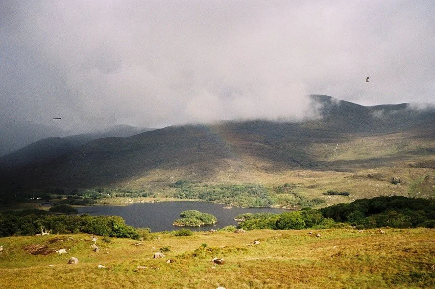 &ldquo;The doors to the world of the wild Self are few but precious. If you have a deep scar, that is a door, if you have an old, old story, that is a door. 
If you love the sky and the water so much you almost cannot bear it, that is a door. 
If you