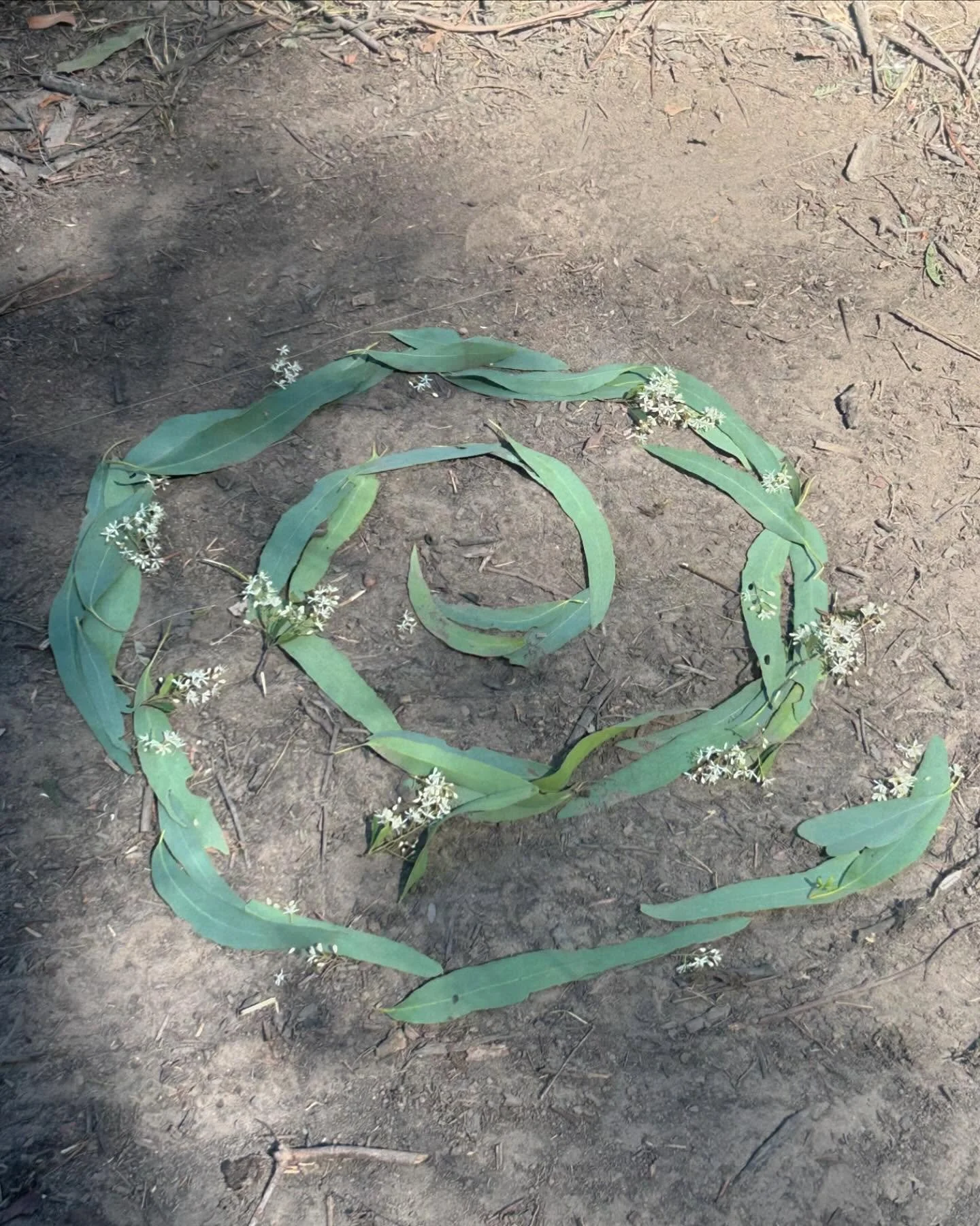 Only at the shrine where all are welcome
Will god sing loudly enough to be heard - 

Theresa of Avila