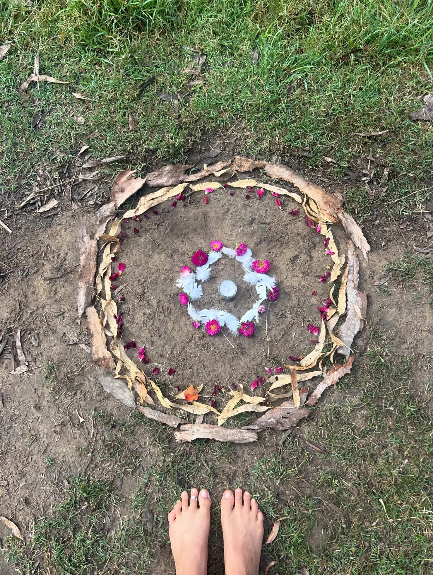 Farewell for now beloved Birrarung.
Thank you for claiming me, 
for reminding me I come from river people, 
for the slow burn into falling deeply for your misty water medicine.