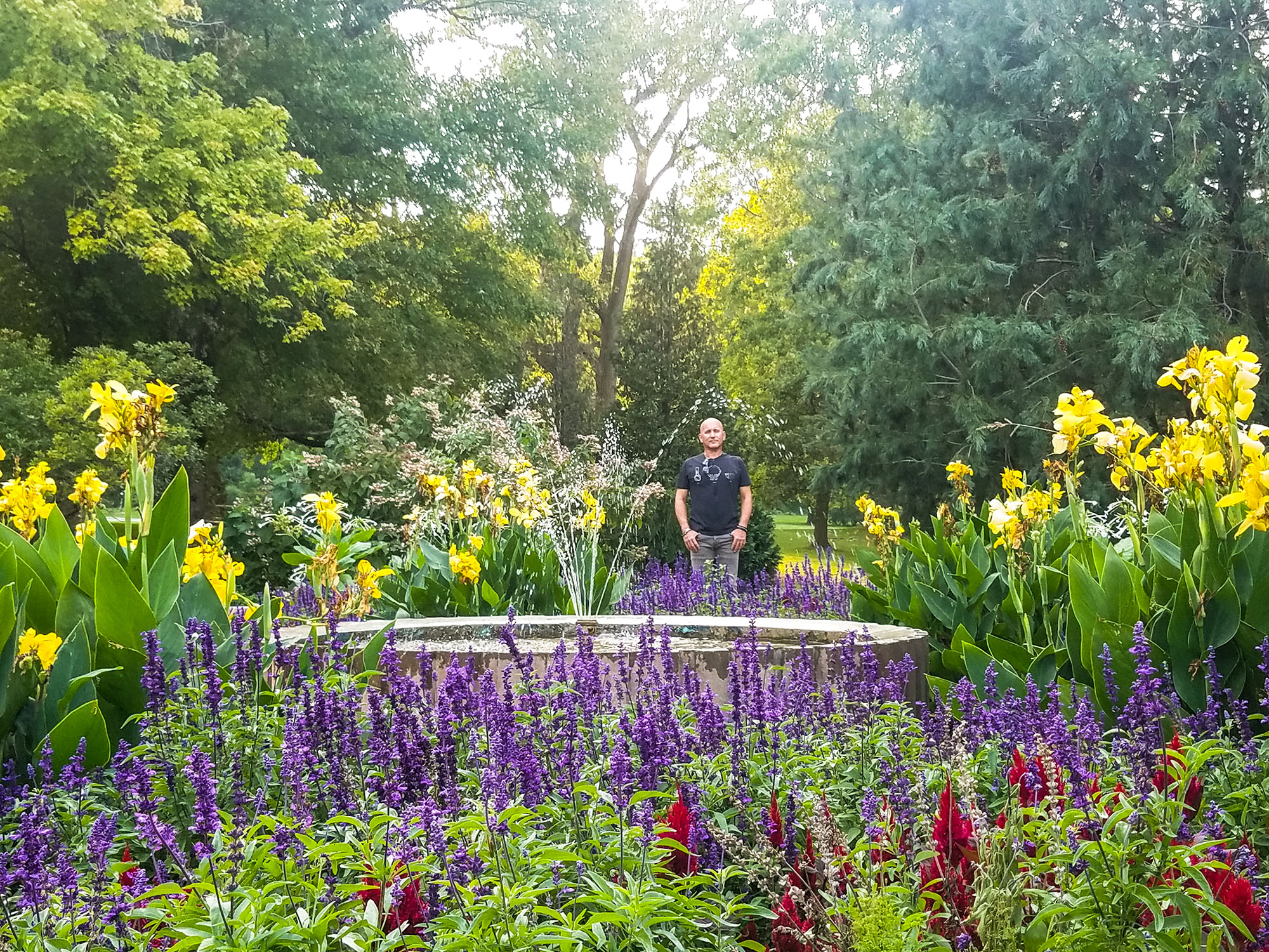 pond-rich-flwrs.jpg