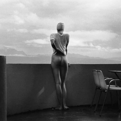 SUMMER EXHIBITION @ NORRVIKEN CHRISTIAN COIGNY summer exhibition 2017 at Norrvikens Trädgårdar .