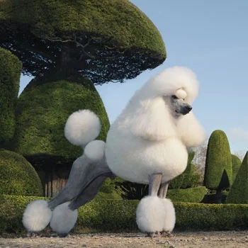 SLIPERIET SUMMER 2018 Sliperiet art gallery - Summer Exhibition. Tim Flach, Christian Joigny, Rodney Smith