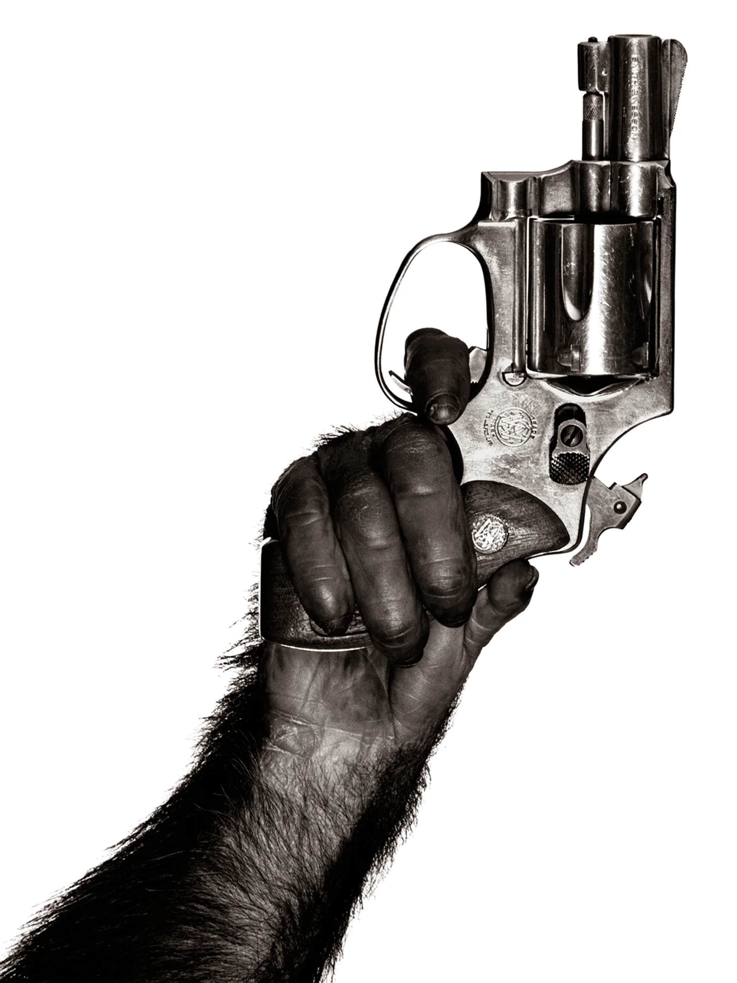 Monkey with gun by Albert Watson Price on request