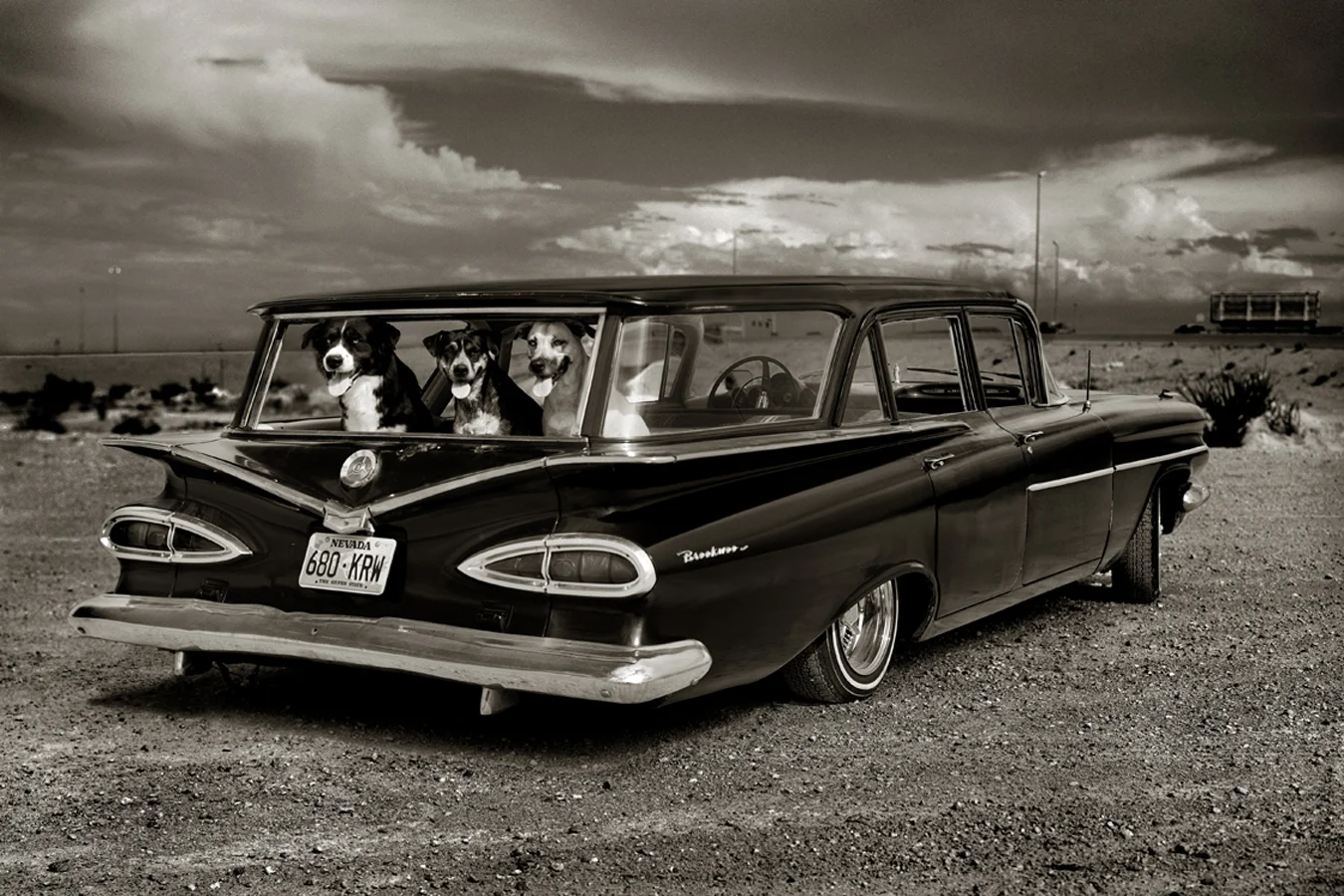 Dogs in Car, Las Vegas, 2000 by Albert Watson Edition of 25, Available in 3 sizes, archival pigment print. Price on request
