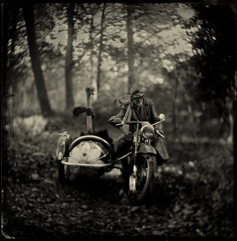 The wild bunch by Alex Timmermans Available in different sizes. Price on request.