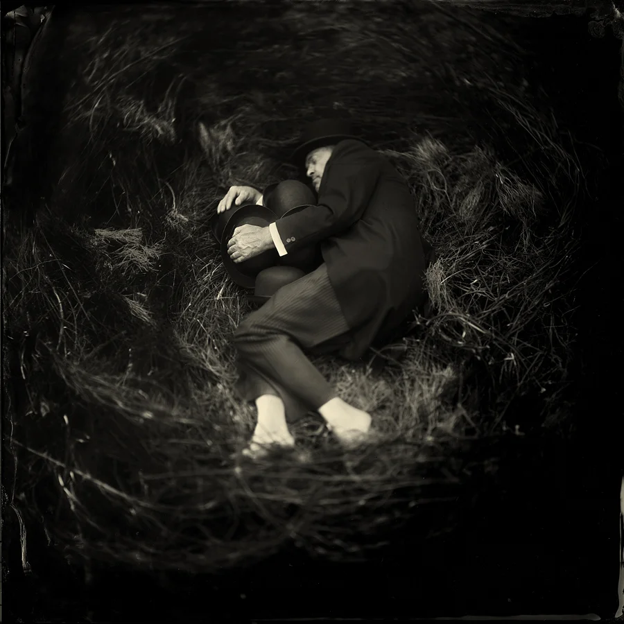 The Cuckoo's nest by Alex Timmermans Available in different sizes. Price on request.
