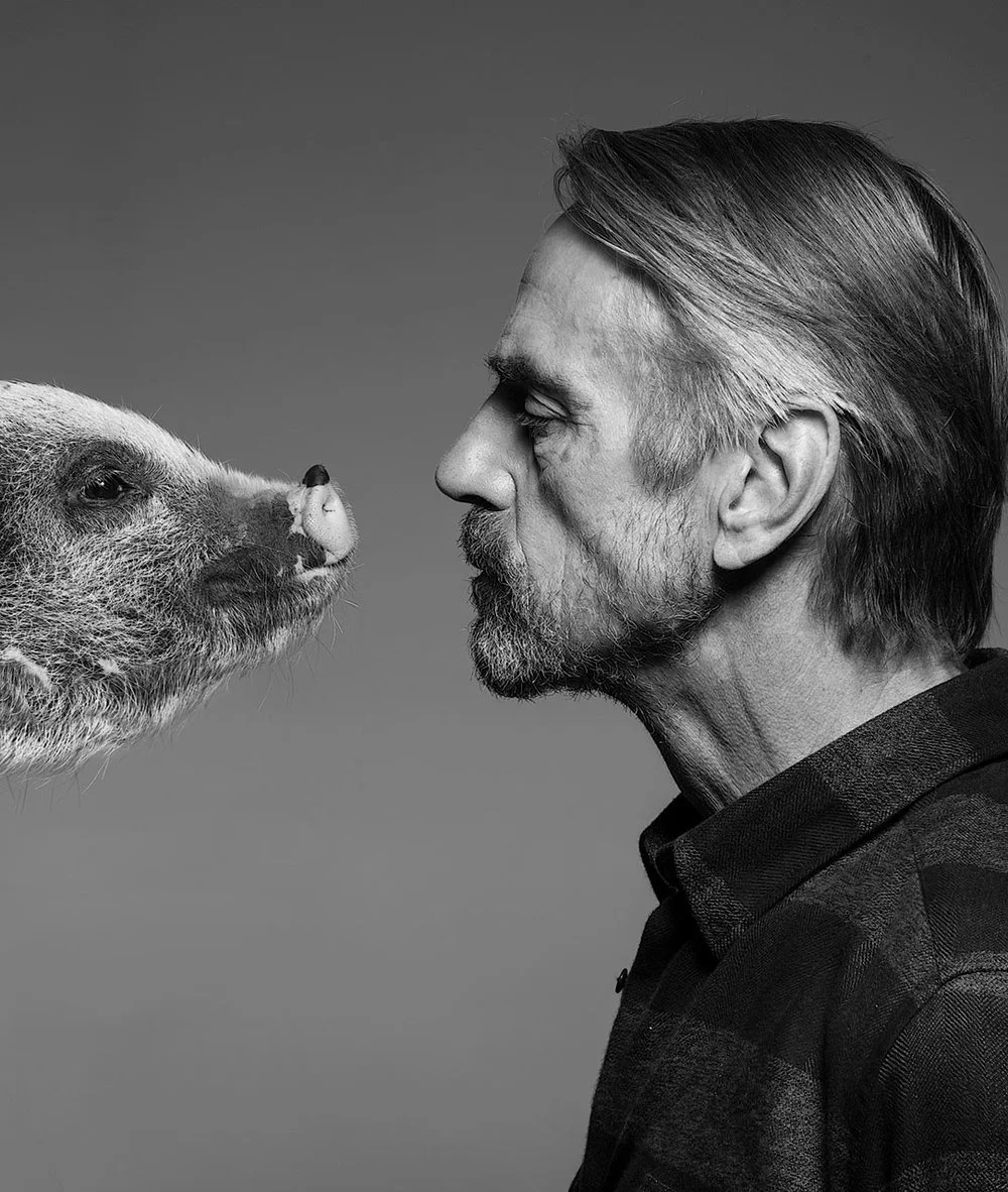 Jeramy Irons by Clive Arrowsmith Available in 3 sizes Price from 1500 Pund