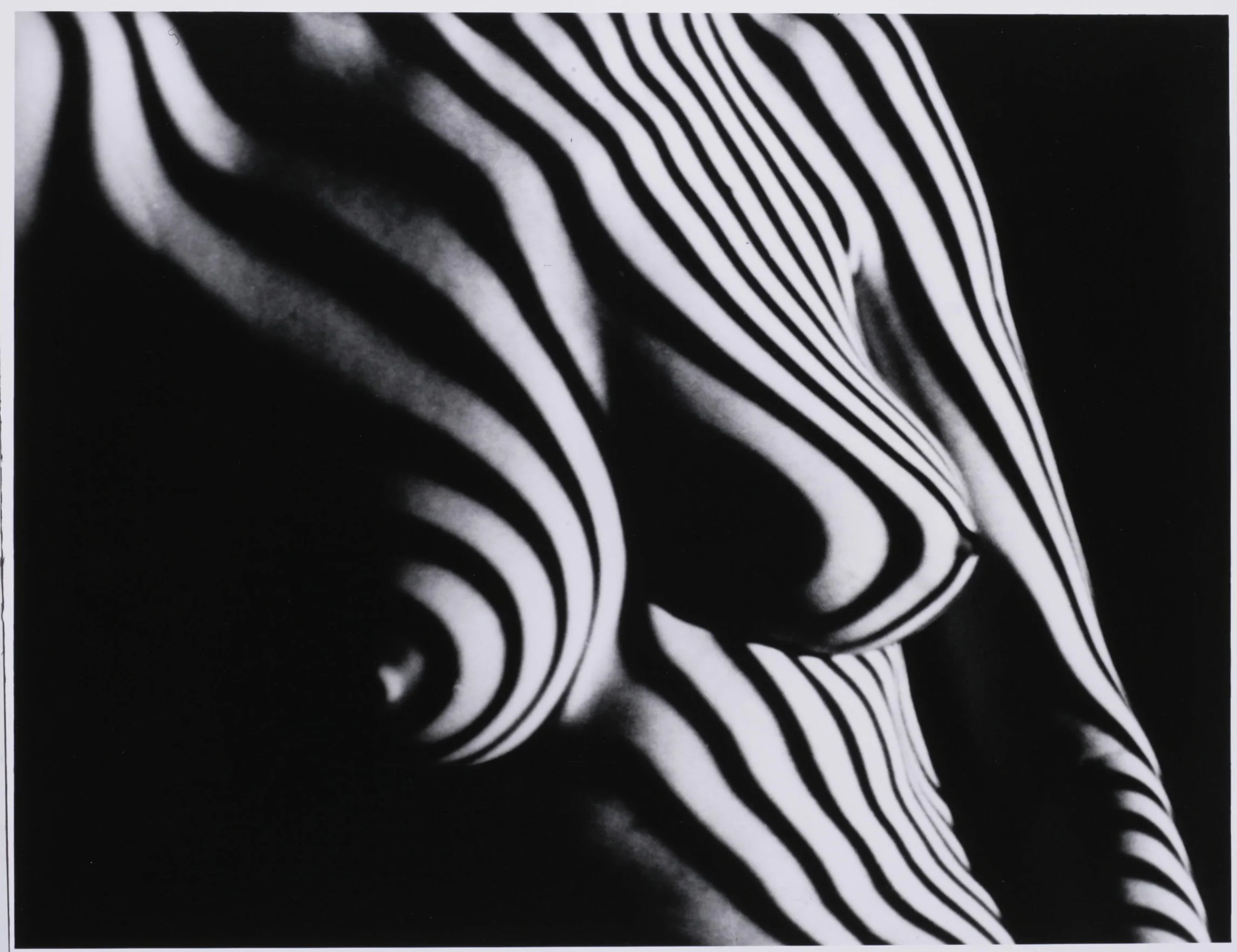 Suzzette by Fernand Fonssagrives